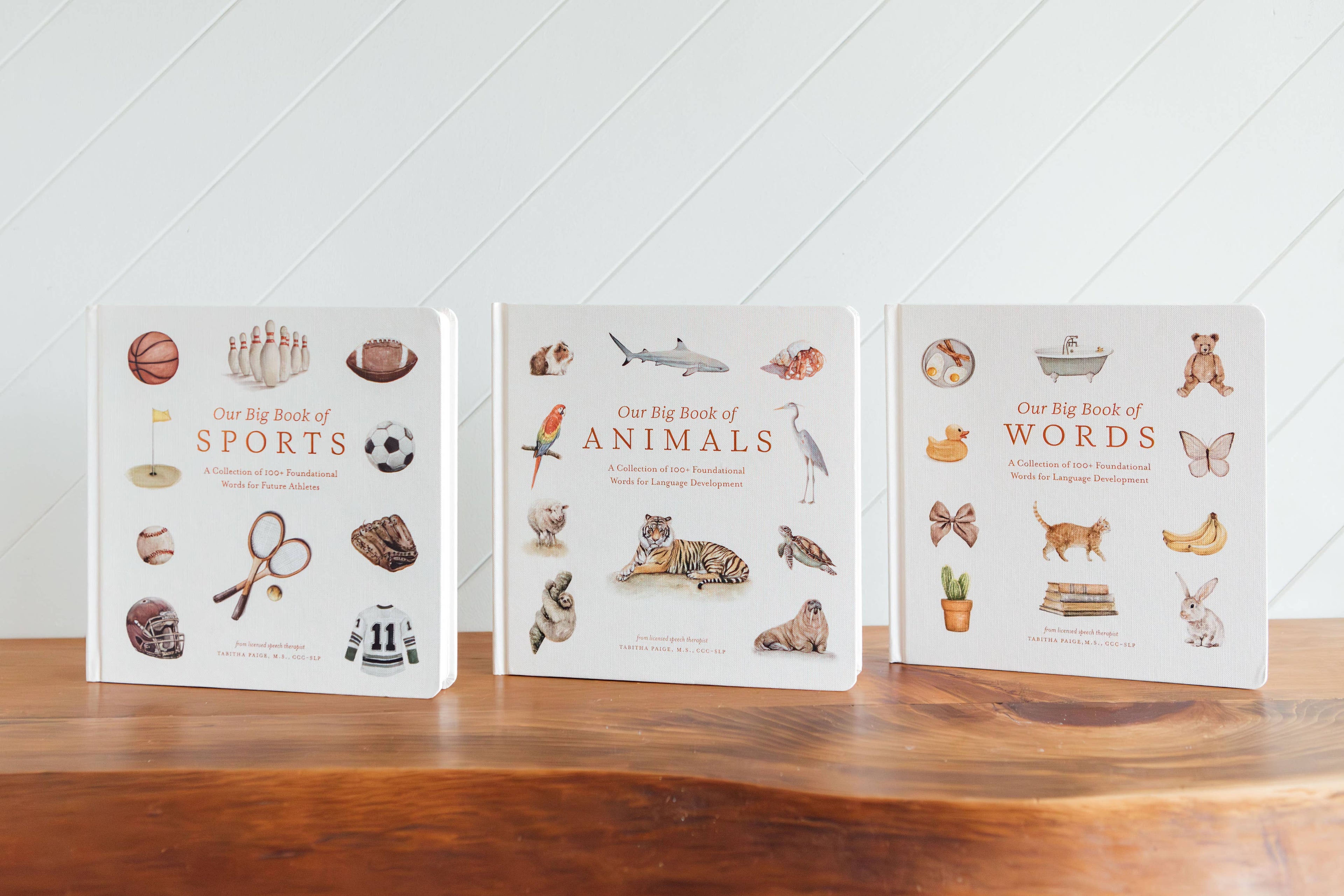 Our Big Book of Sports (Board Book)
