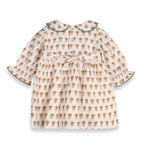 Floral Baby Dress & Bloomer Set
