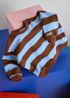 Striped Sweatshirt - Light Blue & Brown