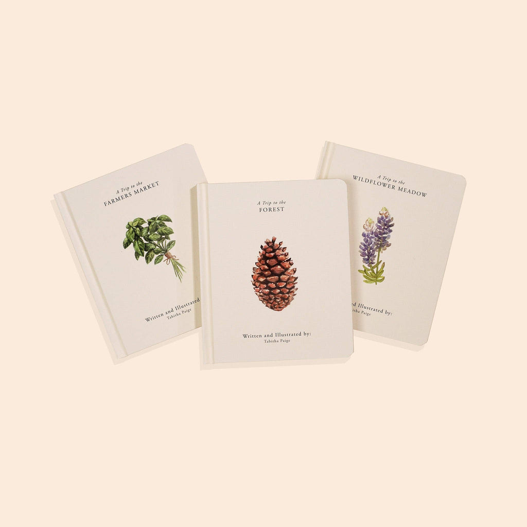 Our Little Adventures Board Book Box Set for Kids