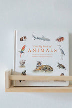 Our Big Book of Animals (Board Book)