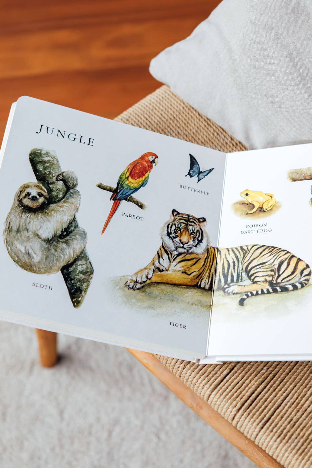 Our Big Book of Animals (Board Book)