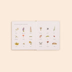 Our Little Adventures Board Book Box Set for Kids