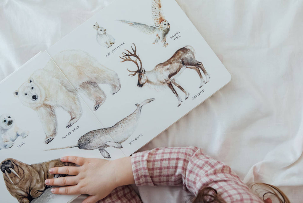 Our Big Book of Animals (Board Book)