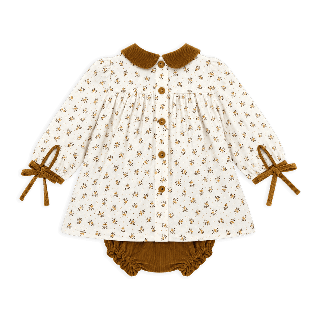 Ditsy Floral Baby Dress + Corduroy Bloomer Set